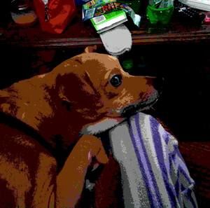 Meet your Posher, Kris